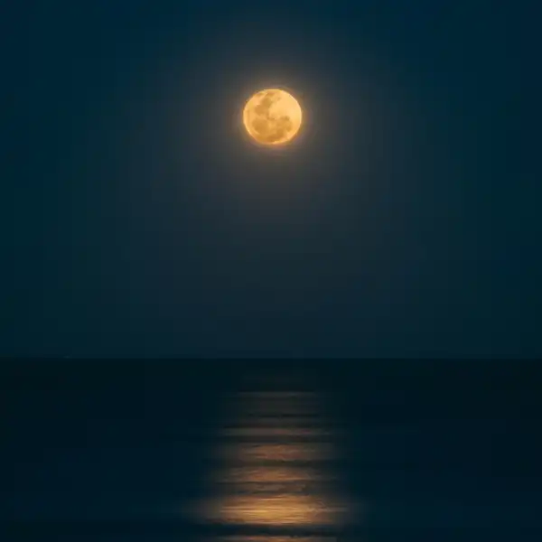 Ronny J - In My Thoughts